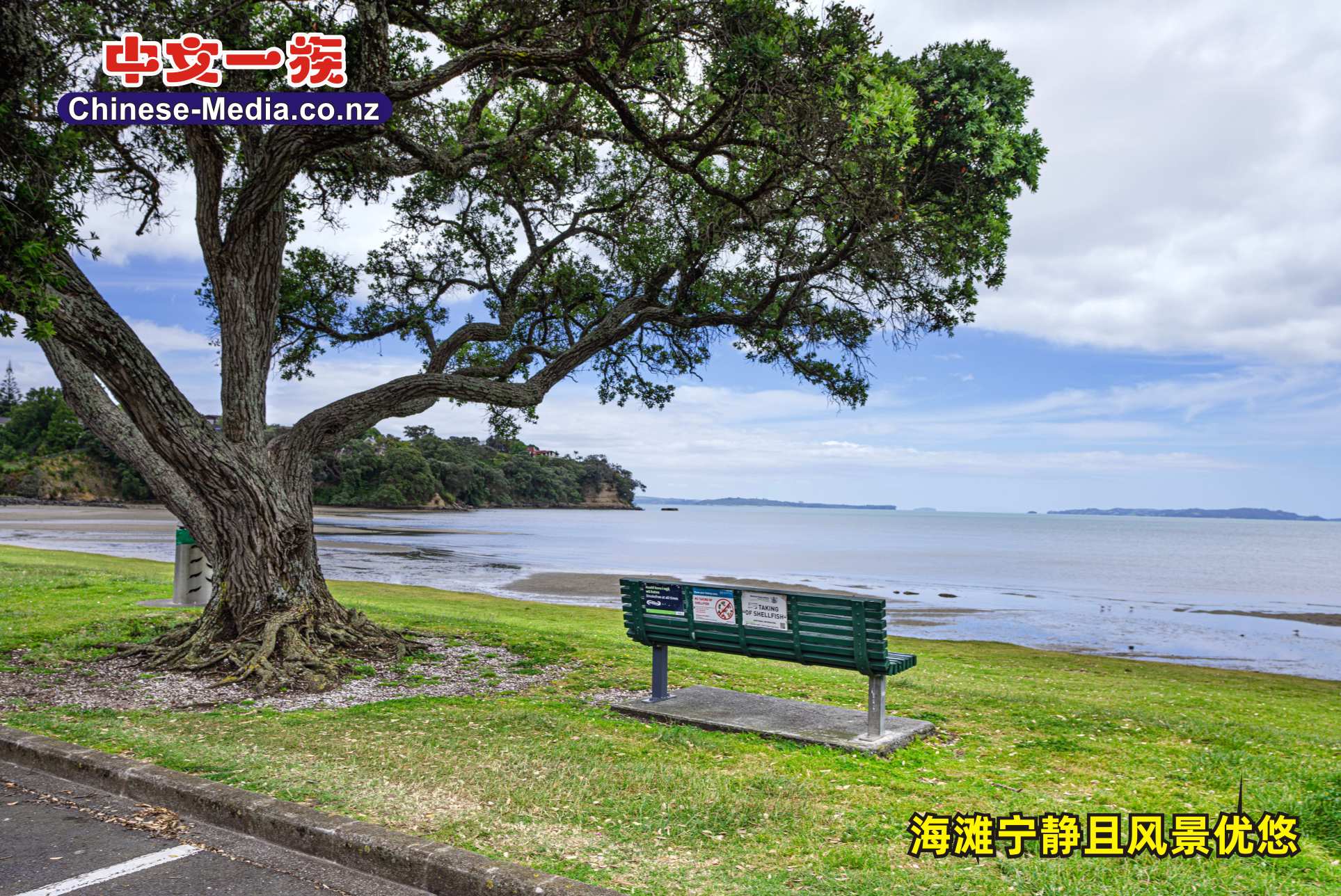 Cockle Bay, 科克爾灣, Shelly Beach Parade    中文一族傳媒新西蘭旅遊景點