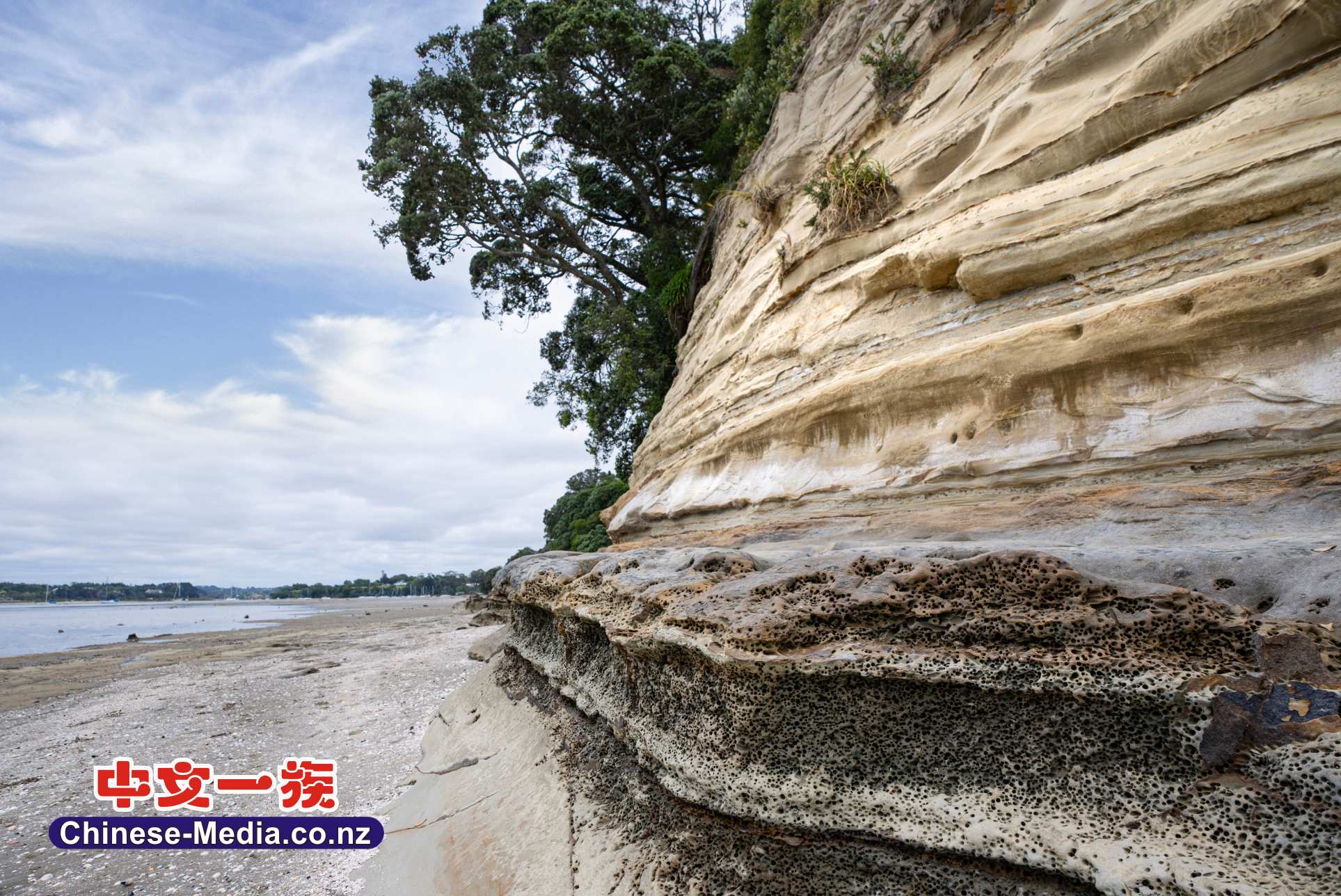 Cockle Bay, 科克爾灣, Shelly Beach Parade    中文一族傳媒新西蘭旅遊景點
