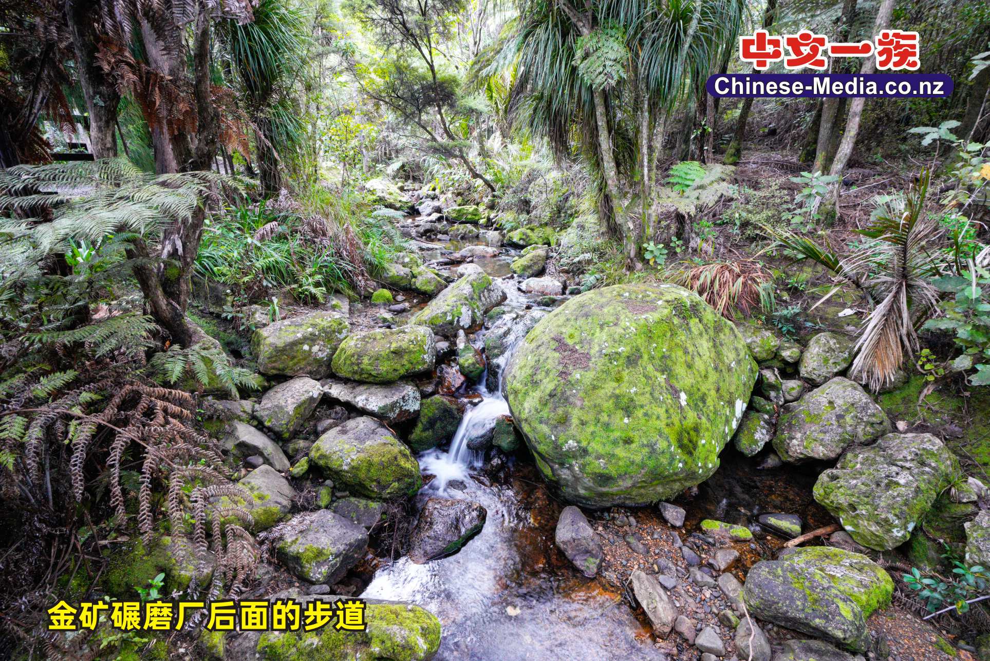 Coromandel 科羅曼多鎮 Ship in the Bottle 船在瓶子裡  Coromandel Gold Stamper Battery  科羅曼多金礦碾磨廠    中文一族傳媒新西蘭旅遊景點
