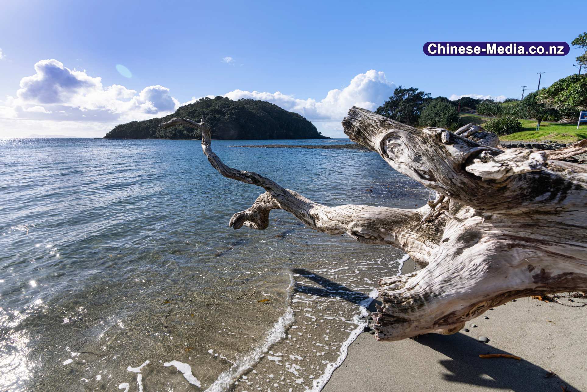 Goat Island 山羊島 海洋保護區 山羊島海灘 Goat Island Beach  Glass Bottom Boat  玻璃船      中文一族傳媒新西蘭旅遊景點