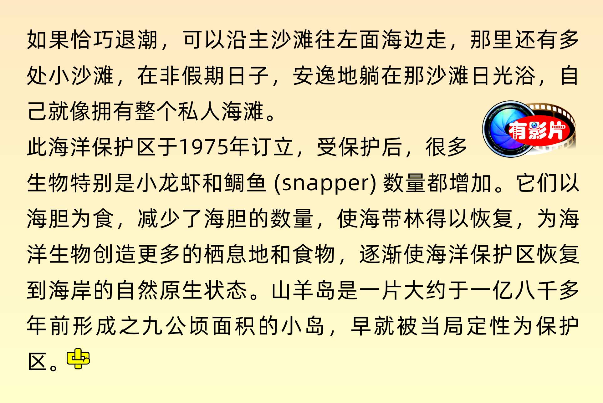 Goat Island 山羊島 海洋保護區 山羊島海灘 Goat Island Beach  Glass Bottom Boat  玻璃船      中文一族傳媒新西蘭旅遊景點