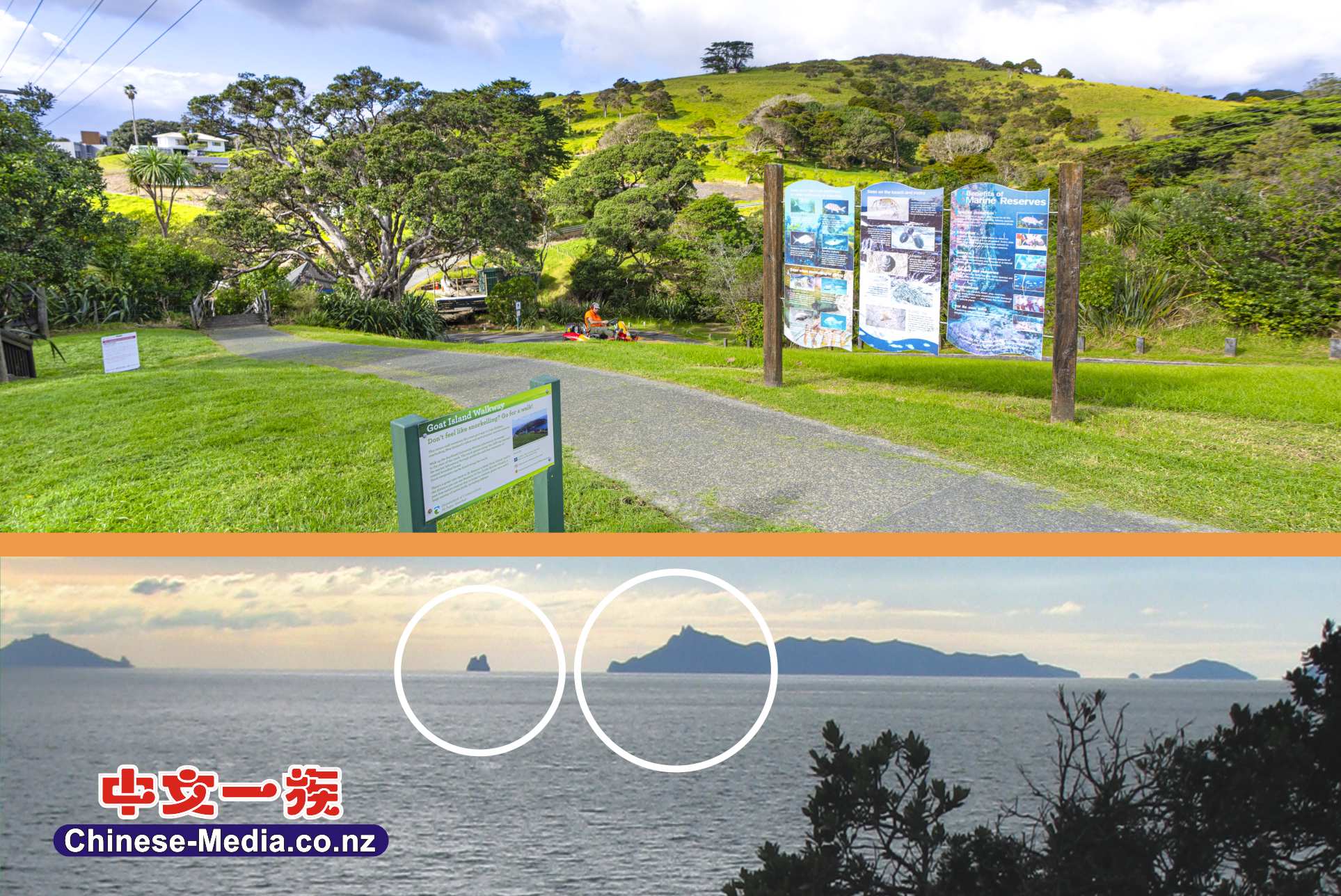 Goat Island 山羊島 海洋保護區 山羊島海灘 Goat Island Beach  Glass Bottom Boat  玻璃船      中文一族傳媒新西蘭旅遊景點