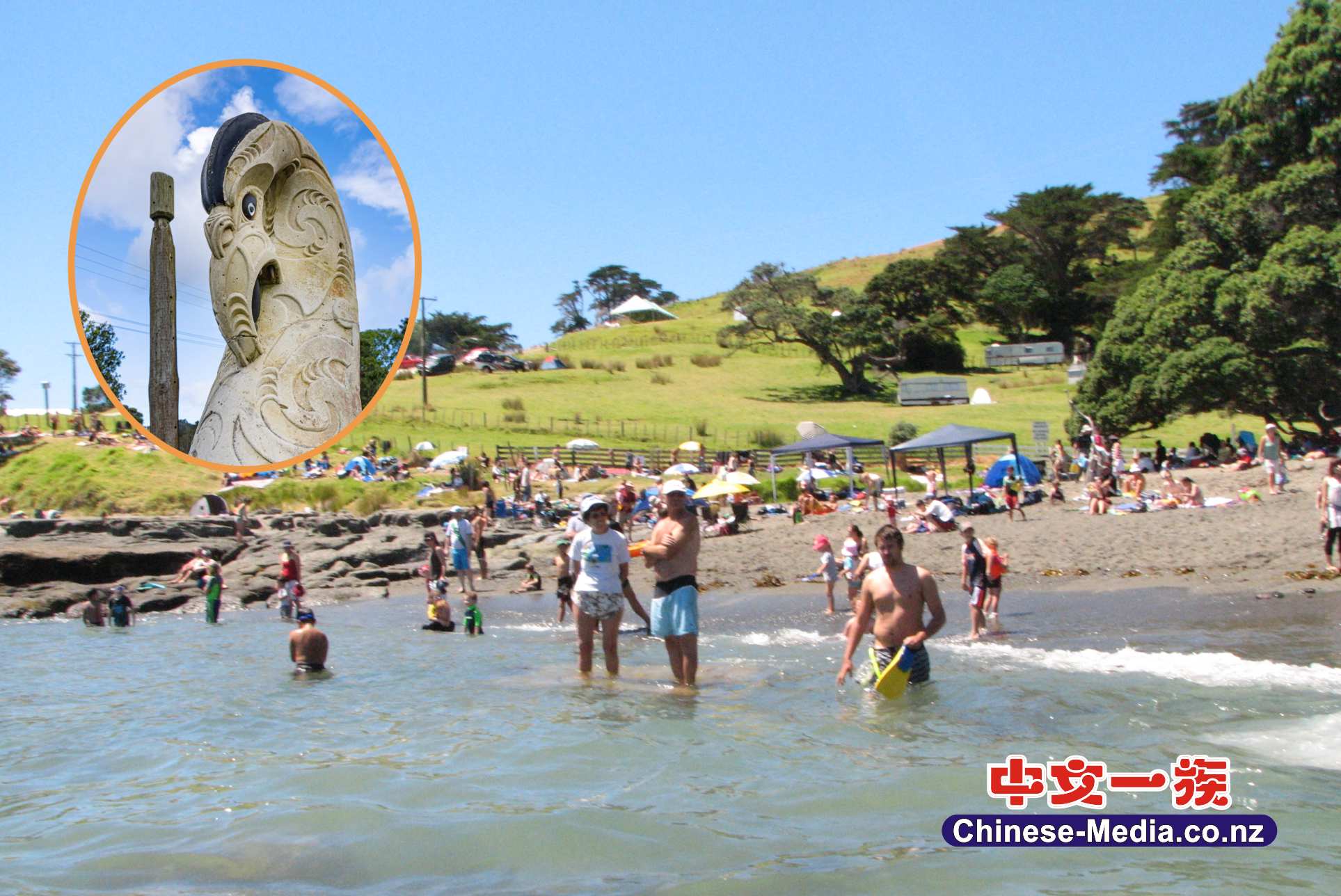 Goat Island 山羊島 海洋保護區 山羊島海灘 Goat Island Beach  Glass Bottom Boat  玻璃船      中文一族傳媒新西蘭旅遊景點