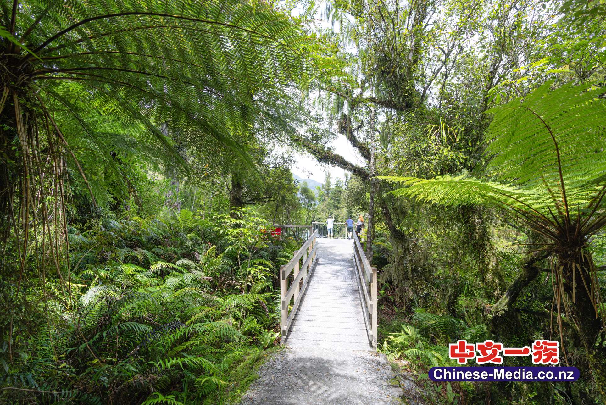 Hokitika Gorge 霍基蒂卡峽谷 Rakaia River 拉凱亞河  綠玉鎮  中文一族傳媒新西蘭旅遊景點