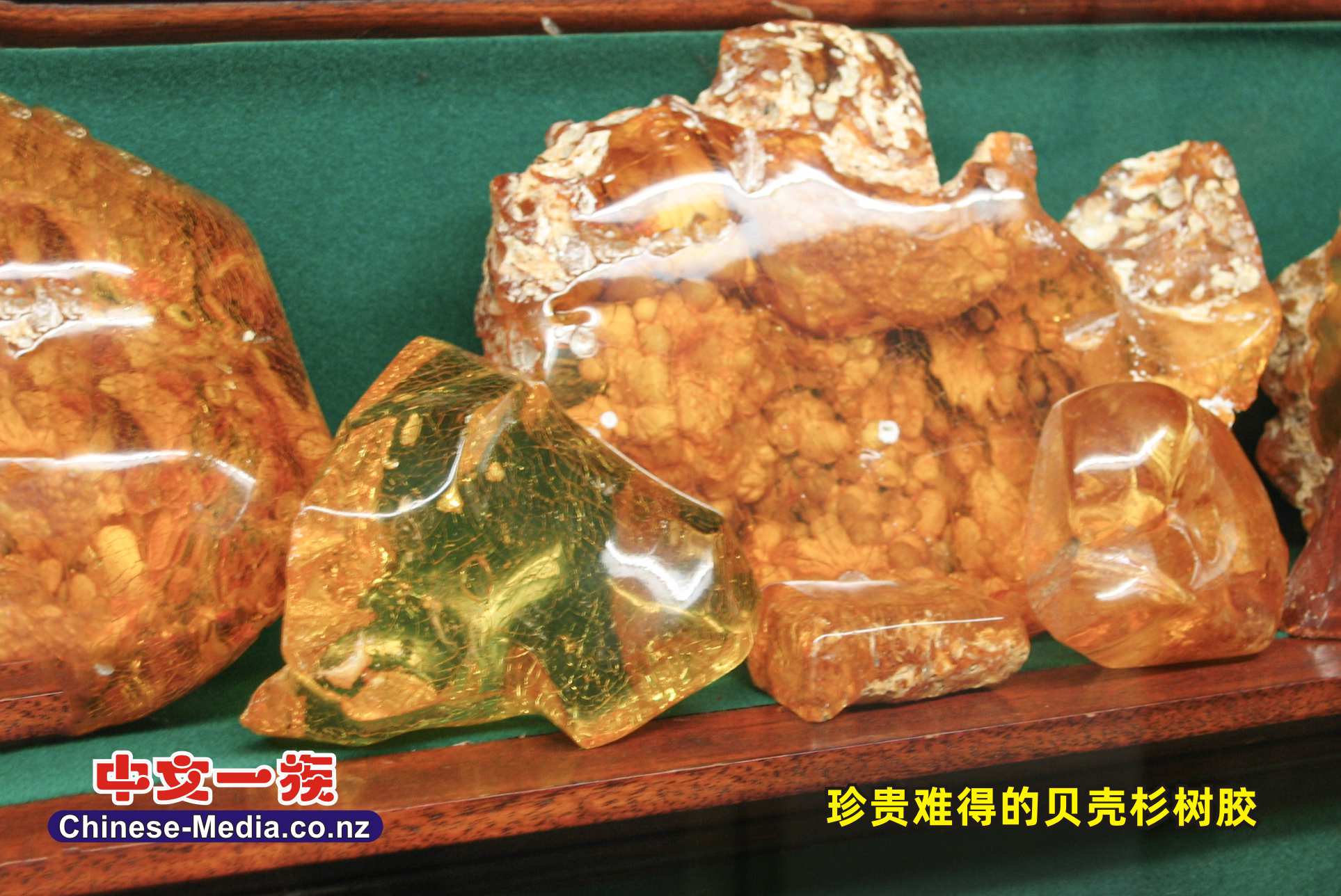 Kauri Museum, Matakohe, Matakohe Post & Telegraph, Kauri Gum      中文一族傳媒新西蘭旅遊景點