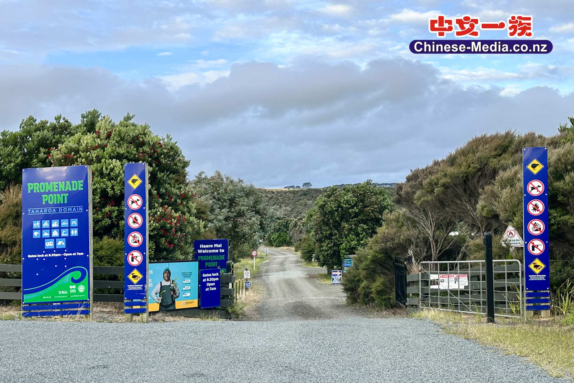 Kai Iwi Lakes, 凱伊維湖, Pine Beach Campground, Promenade Point Campground       中文一族傳媒新西蘭旅遊景點