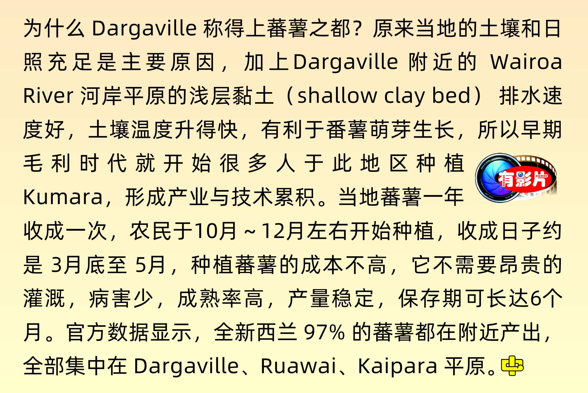 Kumara Capital, Dargaville, Wairoa River , New Zealand's Smallest Church, 新西蘭最細小教堂, 蕃薯之都    中文一族傳媒新西蘭旅遊景點