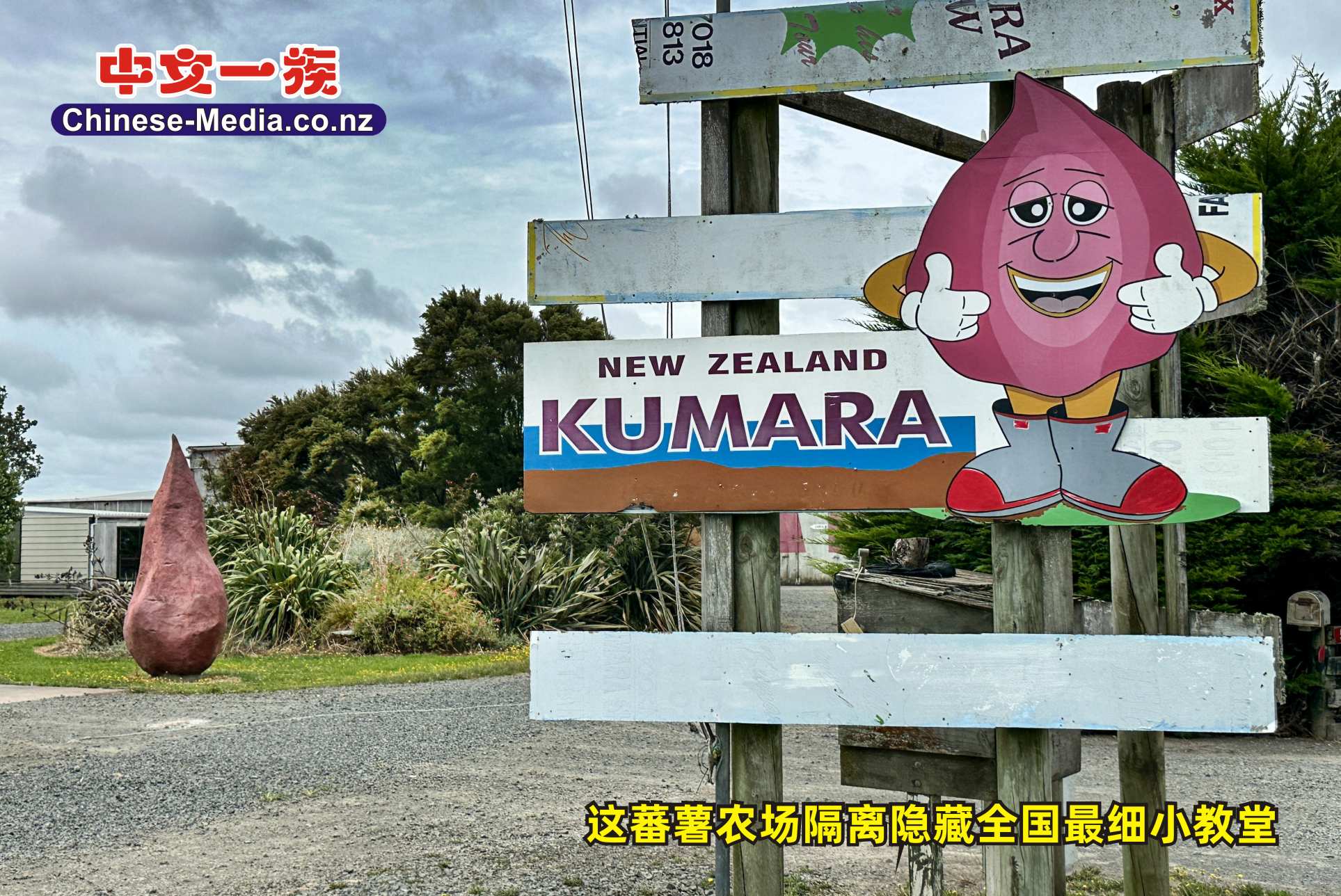Kumara Capital, Dargaville, Wairoa River , New Zealand's Smallest Church, 新西蘭最細小教堂, 蕃薯之都    中文一族傳媒新西蘭旅遊景點