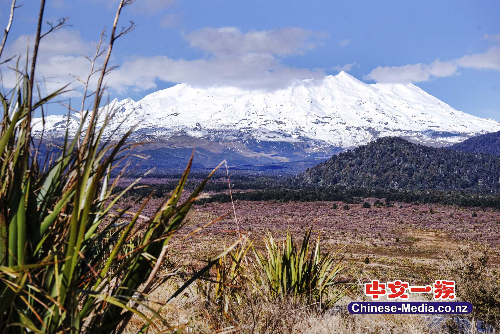 Mt Ruapehu, Whakapapa, Turoa, ski field, Mt Tongariro       中文一族傳媒新西蘭旅遊景點