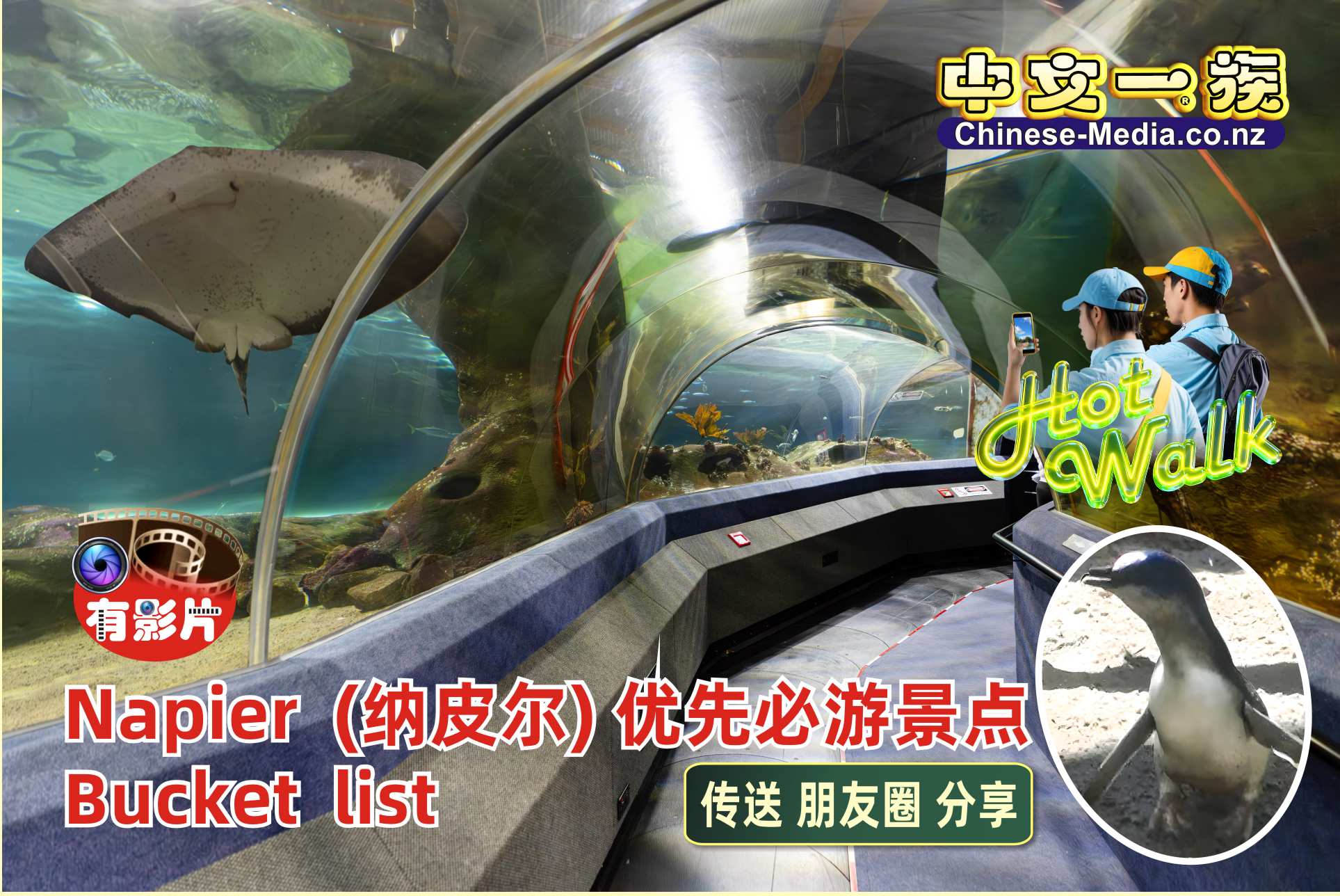 Napier 納皮爾 The National Aquarium  新西蘭國家水族館 Faraday Museum of Technology     中文一族傳媒新西蘭旅遊景點