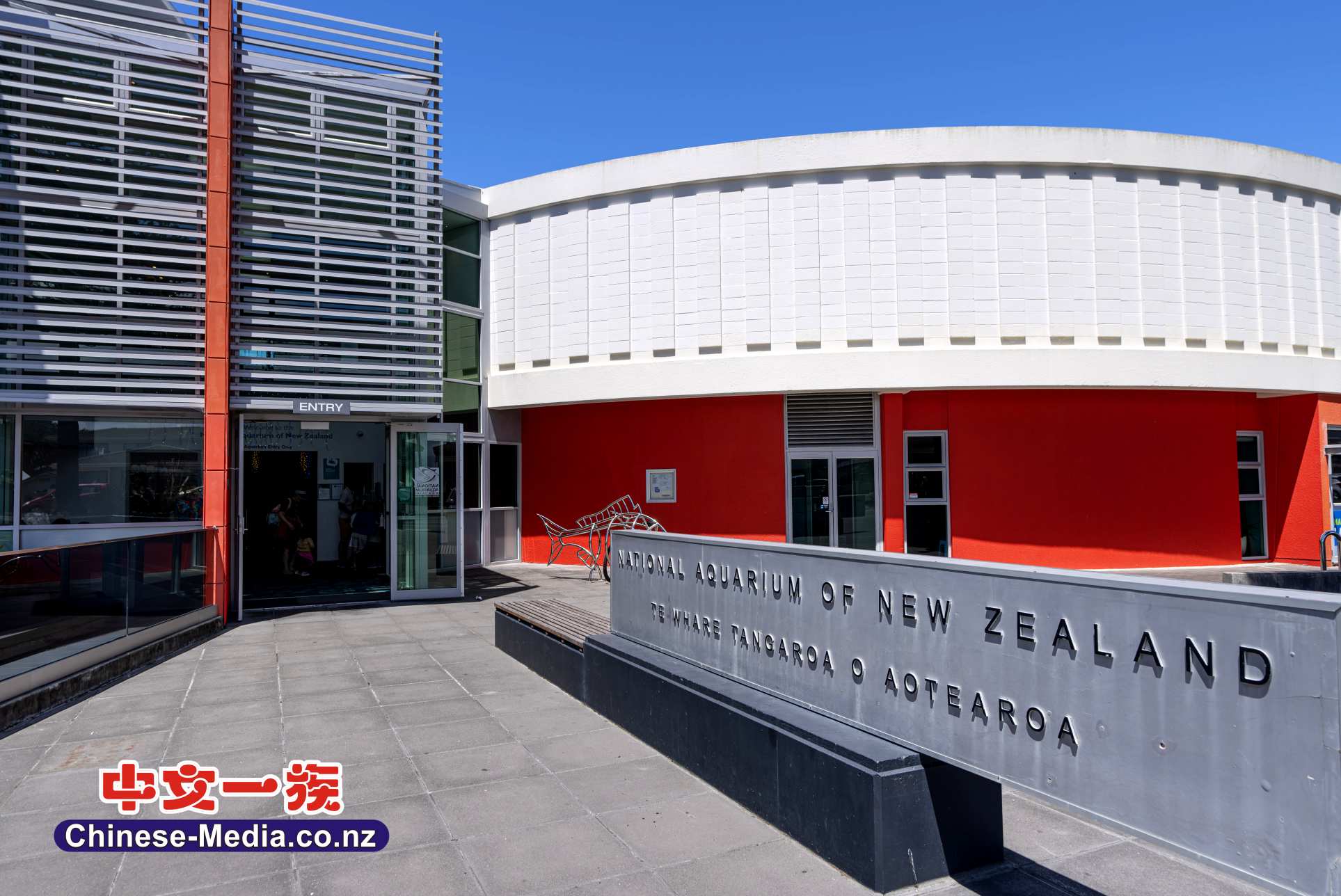 Napier 納皮爾 The National Aquarium  新西蘭國家水族館 Faraday Museum of Technology     中文一族傳媒新西蘭旅遊景點