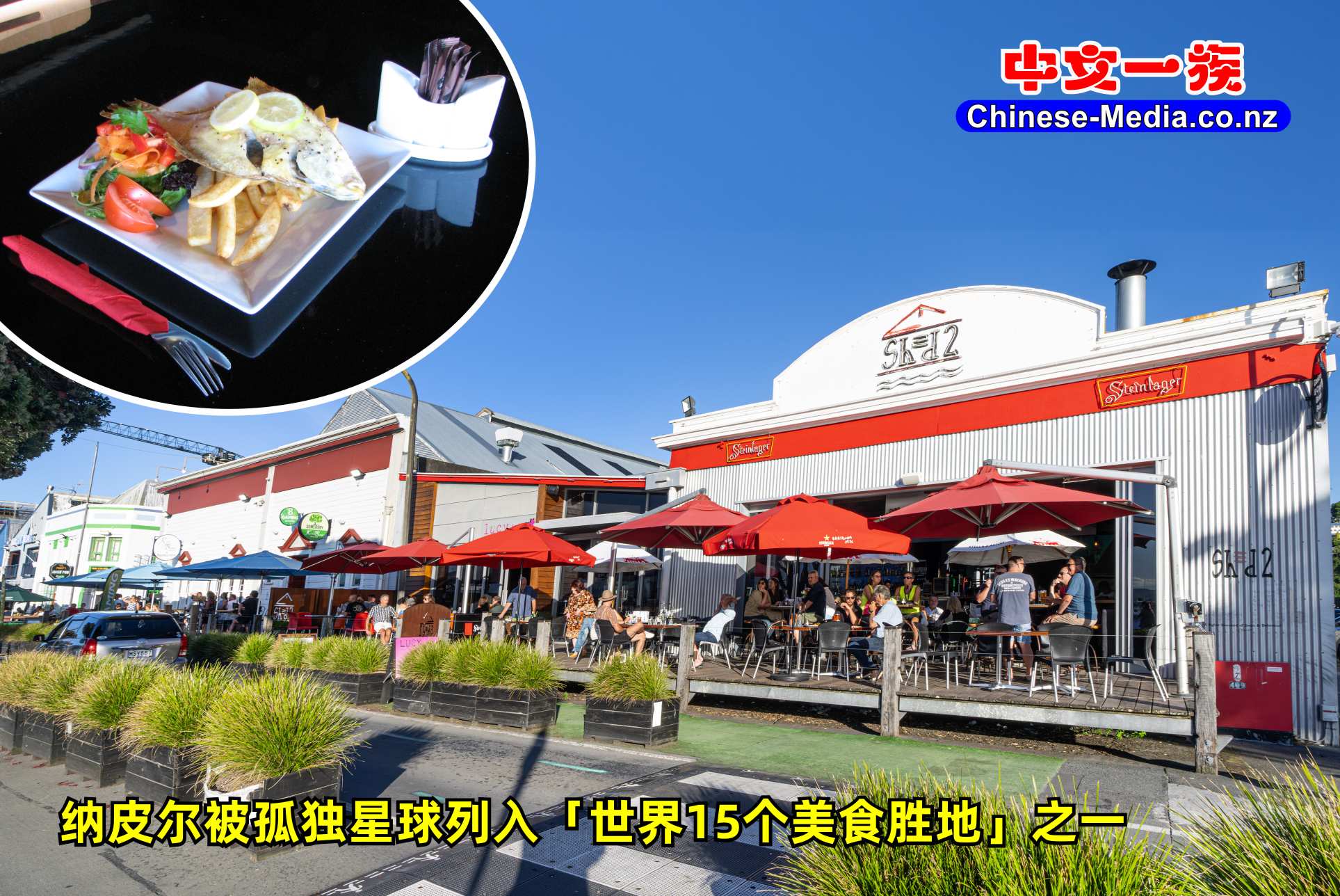 Napier 納皮爾 The National Aquarium  新西蘭國家水族館 Faraday Museum of Technology     中文一族傳媒新西蘭旅遊景點