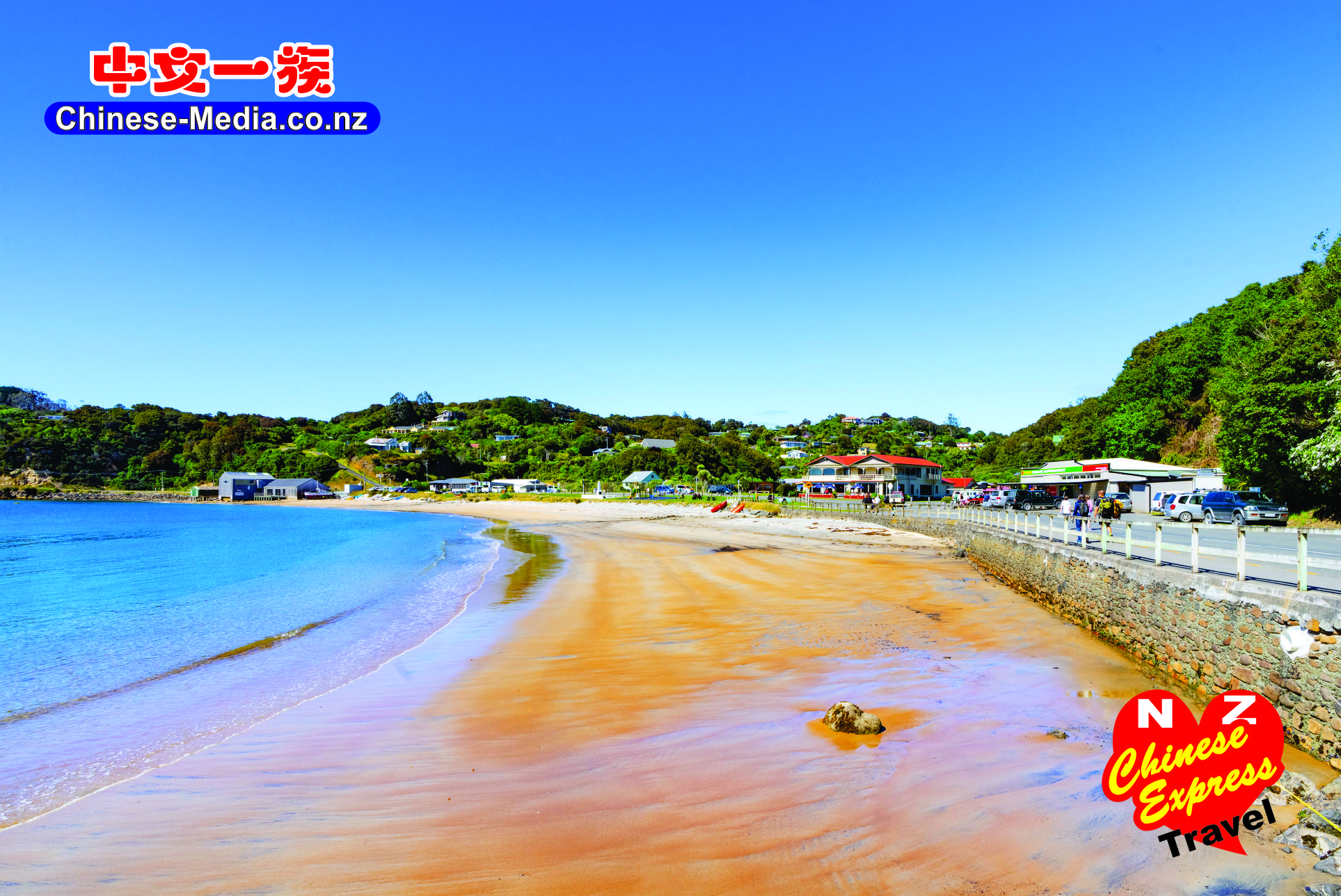 Stewart Island 斯图尔特岛 oban 斯圖爾特島 中文一族傳媒新西蘭旅遊景點