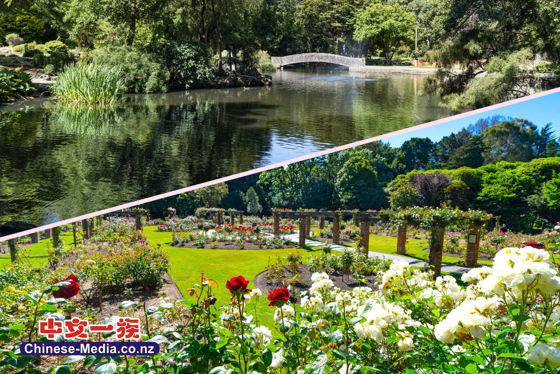 Invercargill 因弗卡吉爾 皇后公園 Queens Park Stewart Island中文一族傳媒新西蘭旅遊景點