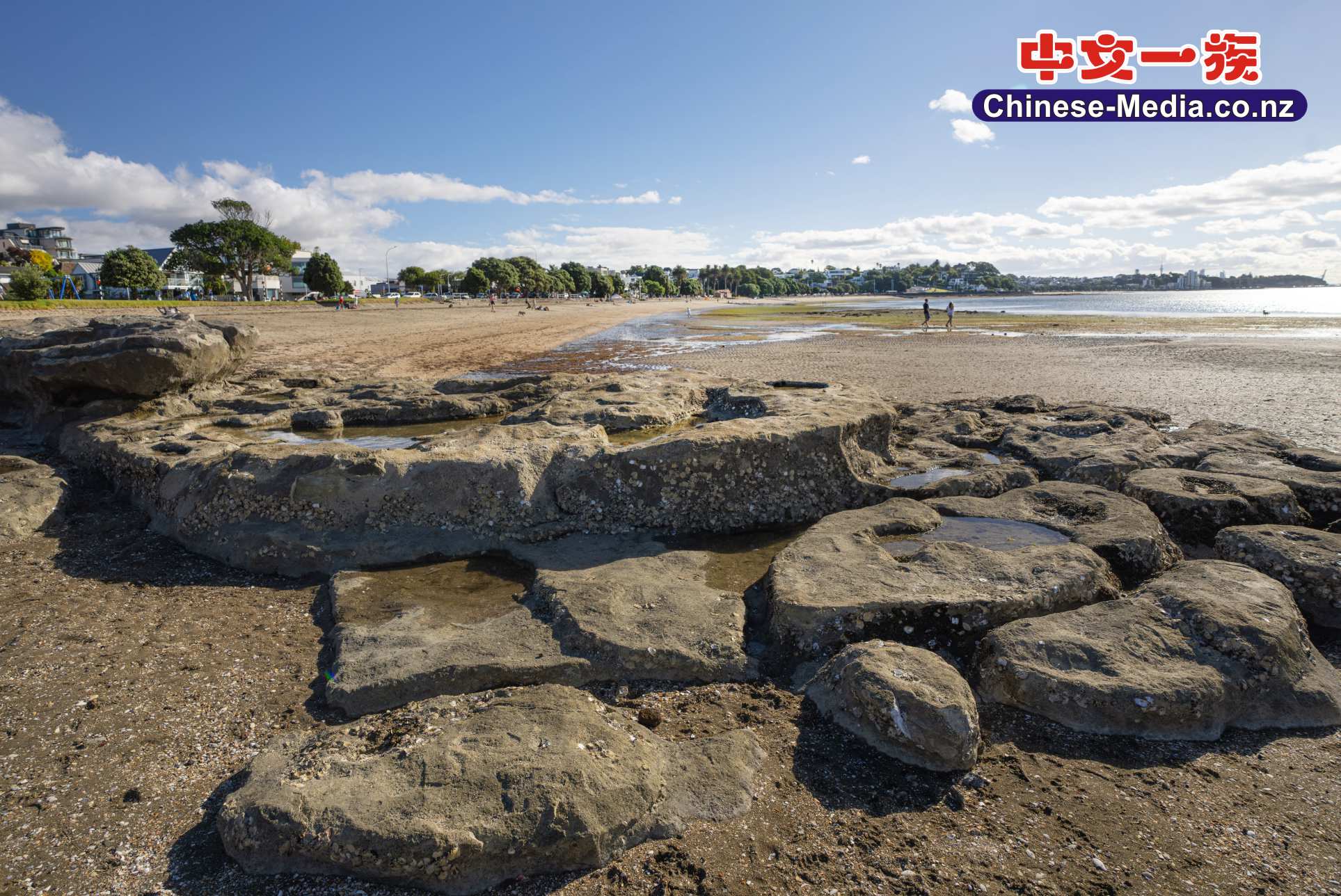 St Heliers Bay 聖海倫斯灣 Mission Bay Glen Orchard Guyon Brookfield    中文一族傳媒新西蘭旅遊景點