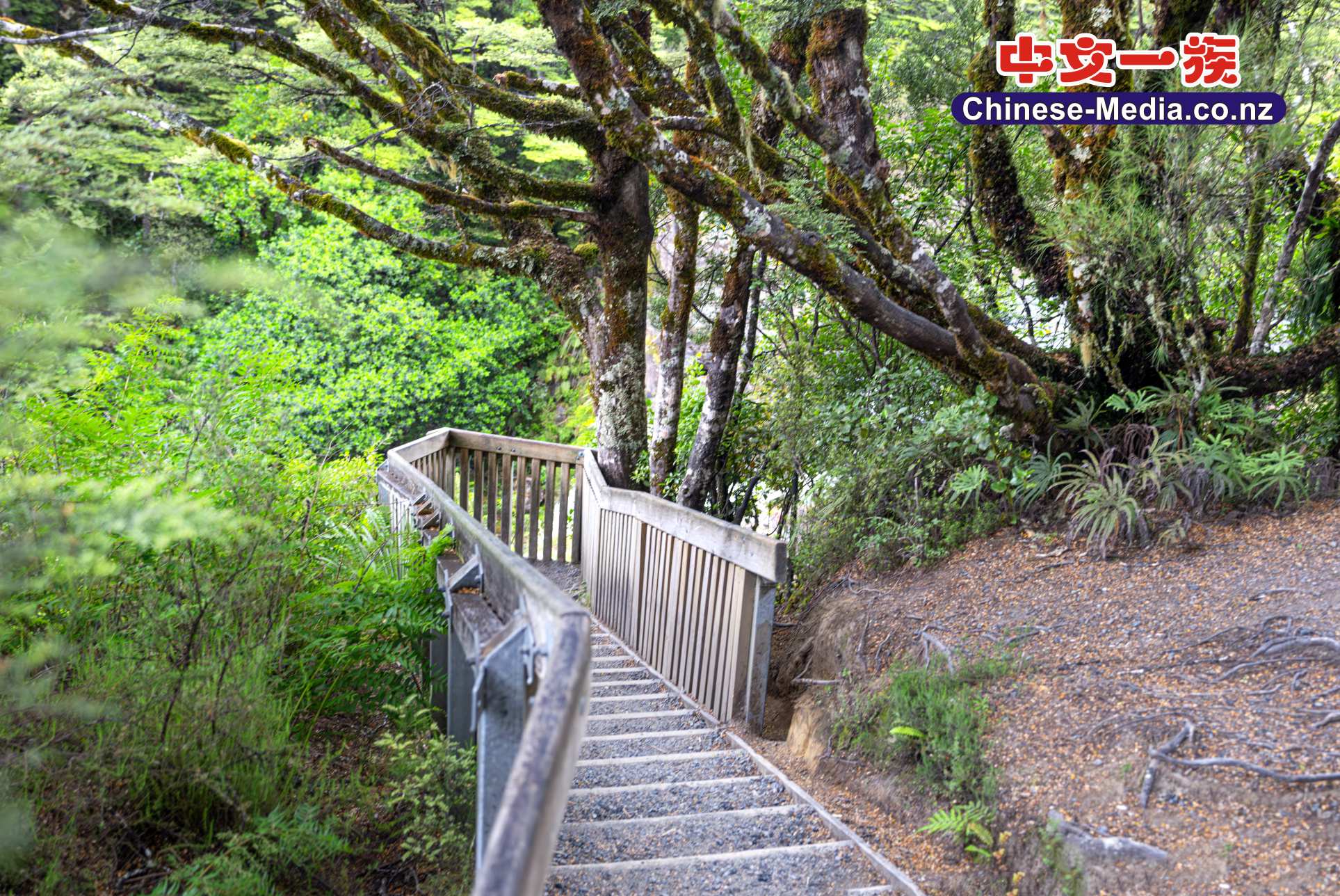 Tawhai Falls, Whakapapa, 華卡帕帕, Gollum's Pool, 咕嚕池, Tawhai Falls Walk, 塔懷瀑布    中文一族傳媒新西蘭旅遊景點