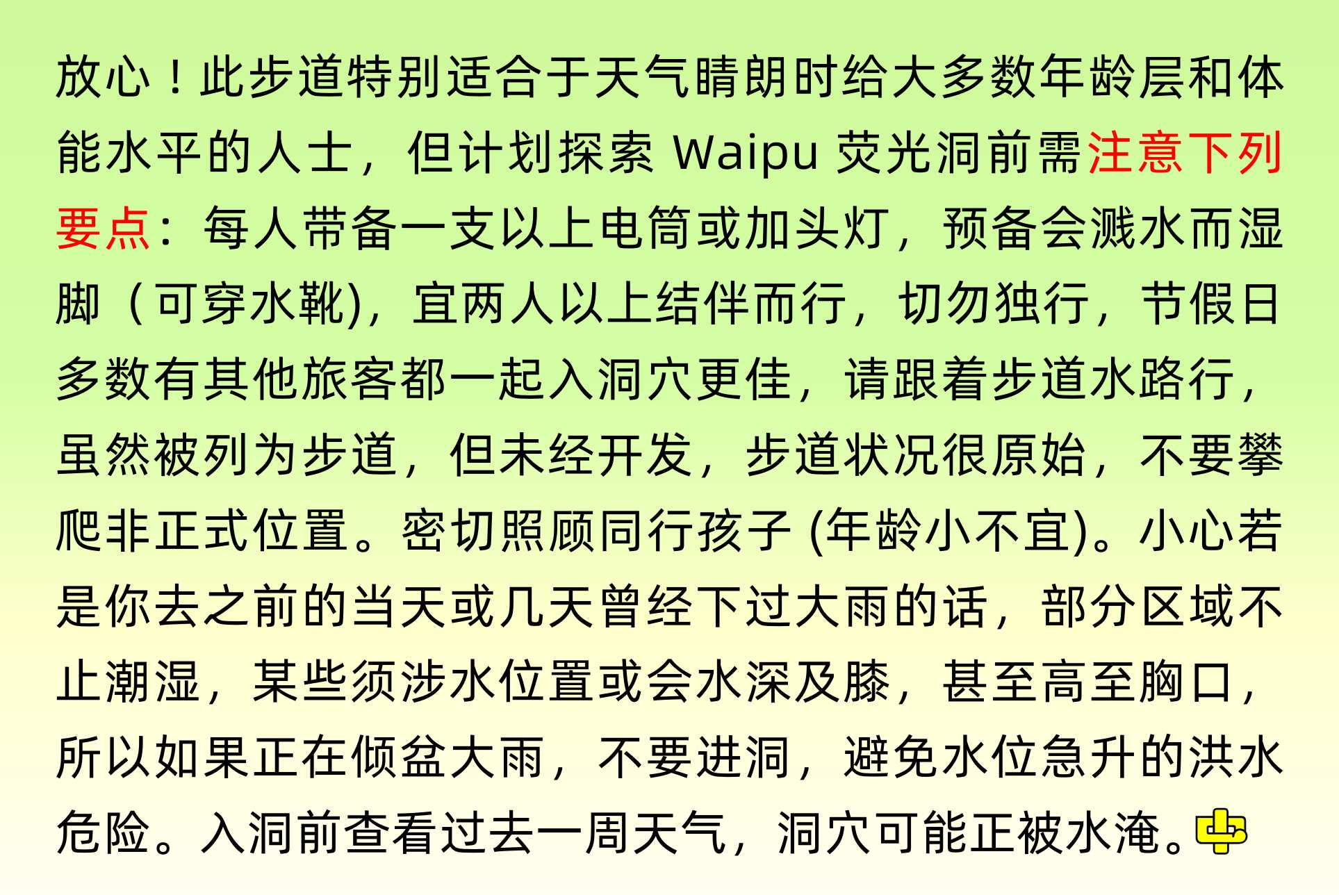 Waipu Caves , Glowworm Cave , 懷普螢光洞, 中文一族傳媒新西蘭旅遊景點