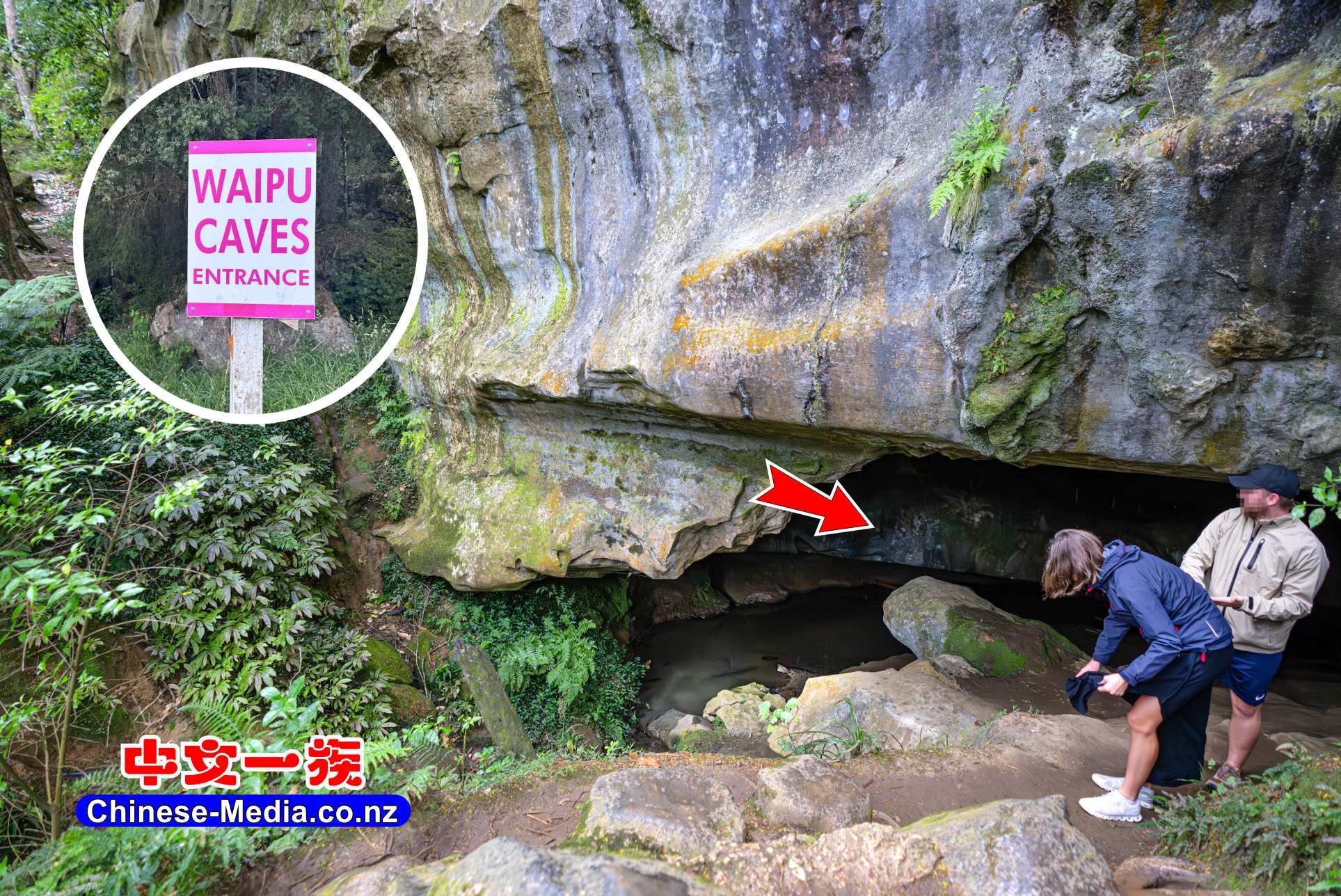 Waipu Caves , Glowworm Cave , 懷普螢光洞, 中文一族傳媒新西蘭旅遊景點