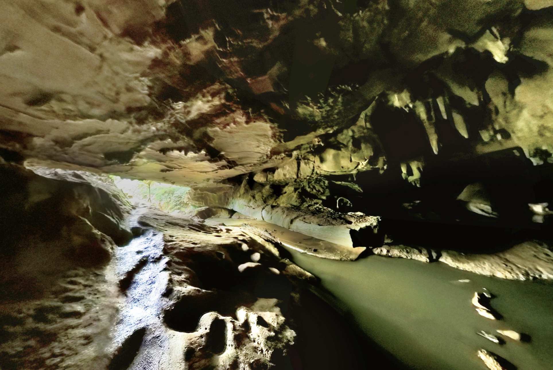 Waipu Caves , Glowworm Cave , 懷普螢光洞, 中文一族傳媒新西蘭旅遊景點