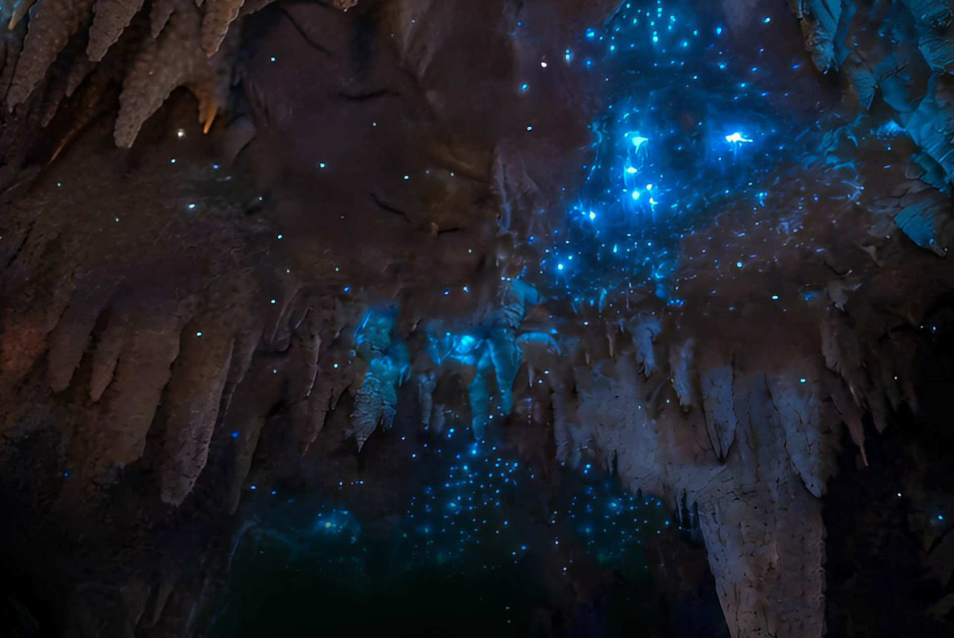 Waipu Caves , Glowworm Cave , 懷普螢光洞, 中文一族傳媒新西蘭旅遊景點