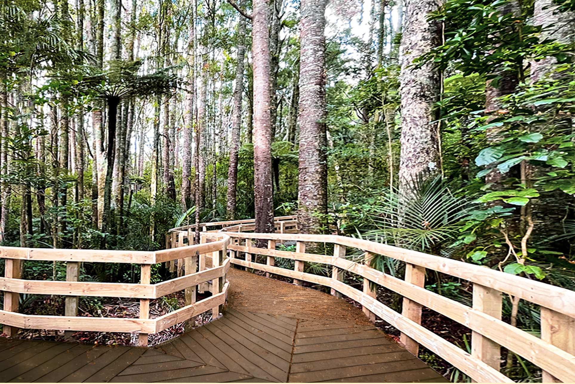 Parry Kauri Park  Warkworth Museum 沃克沃斯鎮 帕里貝殼杉公園       中文一族傳媒新西蘭旅遊景點