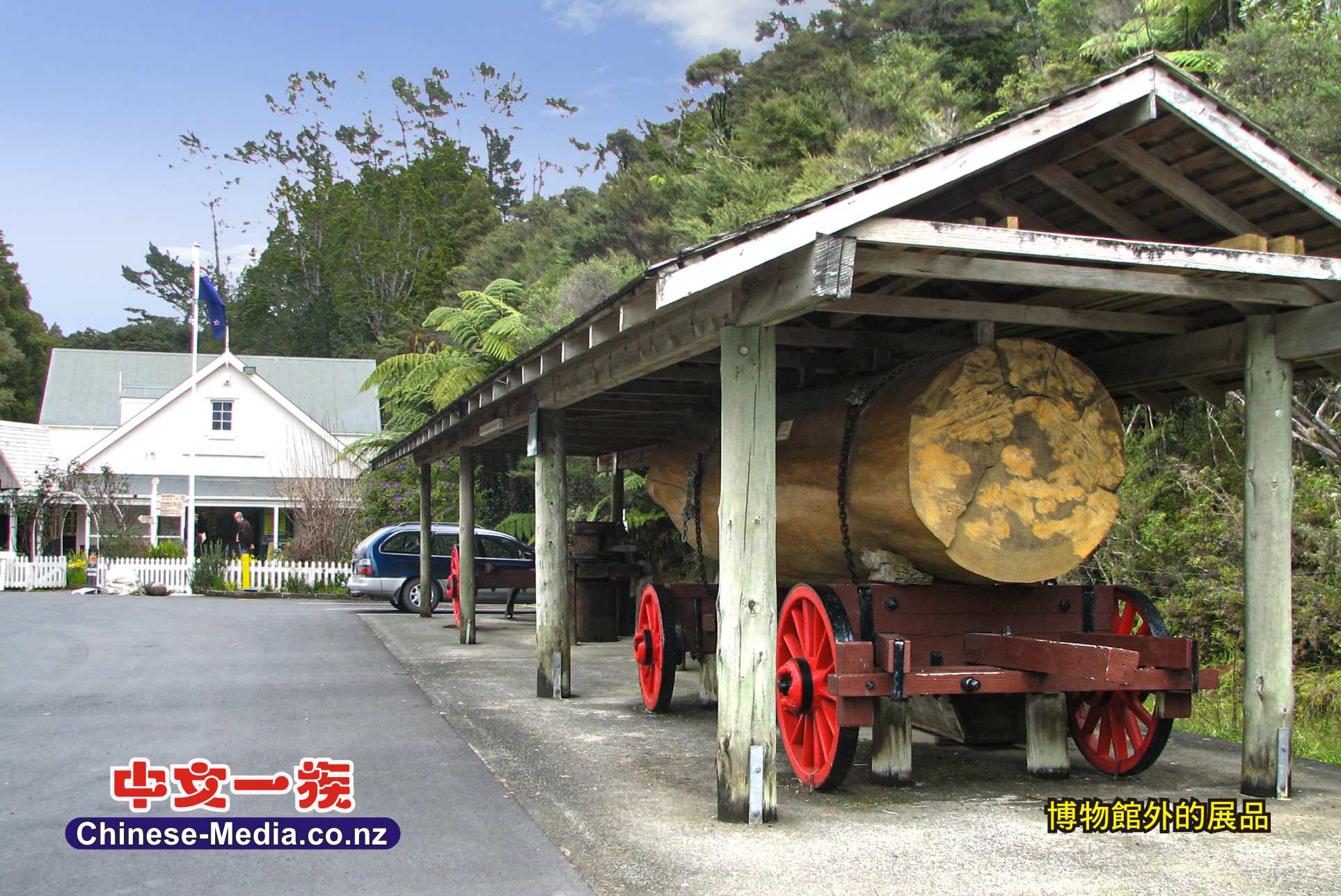 Parry Kauri Park  Warkworth Museum 沃克沃斯鎮 帕里貝殼杉公園       中文一族傳媒新西蘭旅遊景點