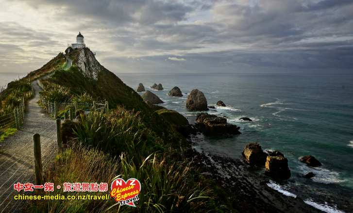 南極光Lake Tekapo、Mt Cook National Park、Catlins 、Nugget Point、Bluff布拉夫鎮、Invercargill、Stewart Island 斯圖爾特島