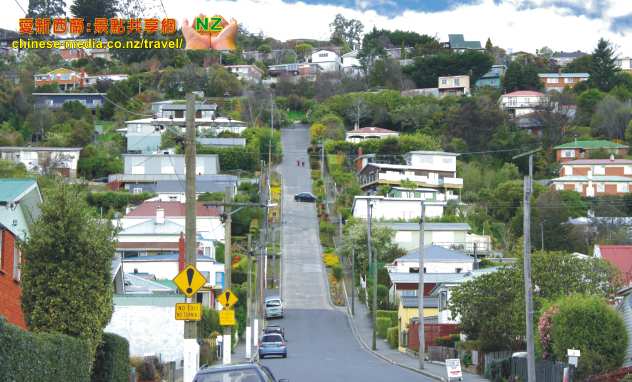 Dunedin Baldwin Street 世界第一陡斜街