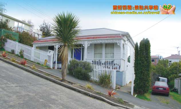 Dunedin Baldwin Street 世界第一陡斜街