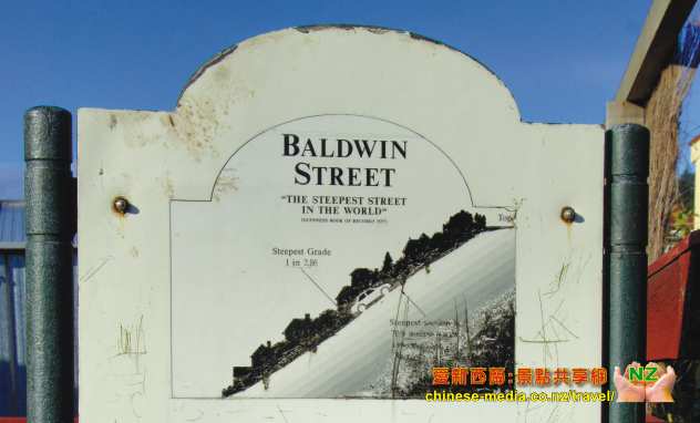 Dunedin Baldwin Street 世界第一陡斜街