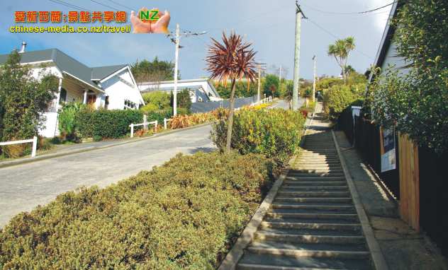 Dunedin Baldwin Street 世界第一陡斜街