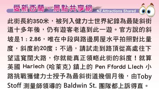 Dunedin Baldwin Street 世界第一陡斜街