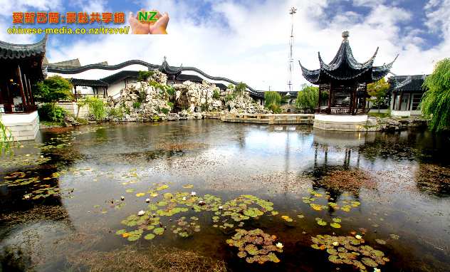 Dunedin Chinese Garden 但尼丁 蘭園 中國花園 