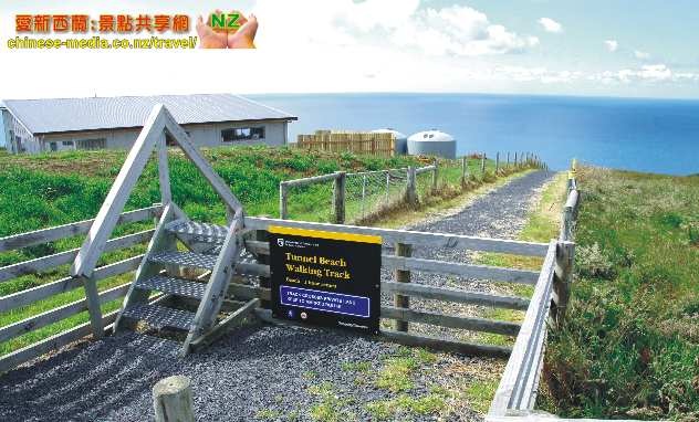 Dunedinm, Tunnel Beach, Blackhead 隧道沙灘