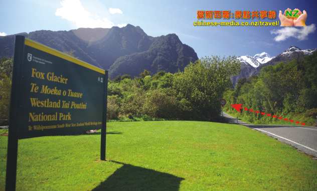 Fox Glacier Westland National Park 福克斯冰川步道