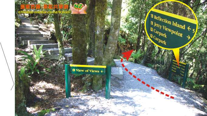 Fox Galcier Lake Matheson 馬瑟森湖