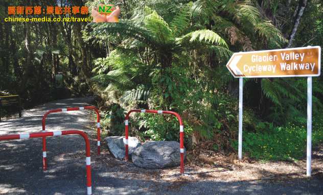 Fox Galcier Minnehaha Walkway 明尼哈哈螢光蟲徑步道