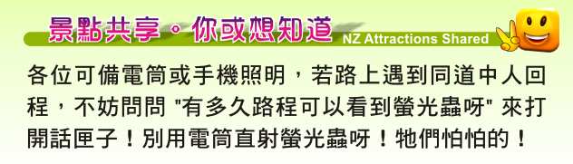 Fox Galcier Minnehaha Walkway 明尼哈哈螢光蟲徑步道