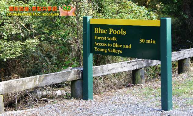 West Coast Haast Blue Pools 哈斯特高速 藍池步道