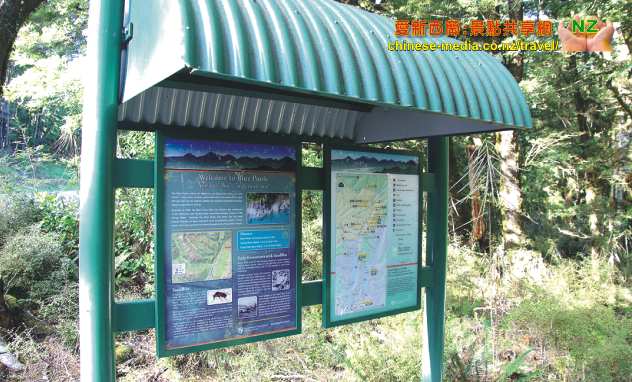 West Coast Haast Blue Pools 哈斯特高速 藍池步道