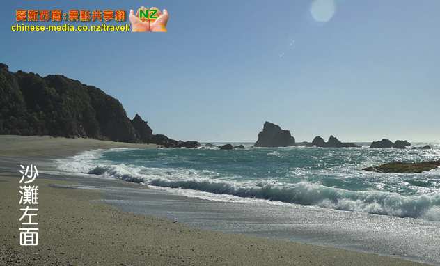 Monro Beach Walk 蒙羅海灘步道 Fiordland Crested Penguin 峽灣鳳冠企鵝