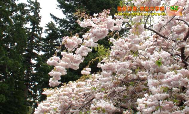 Hanmer Springs Attractions ThrillSeekers Adventures 漢默斯冰林斯冒險玩意中心 蹦極跳