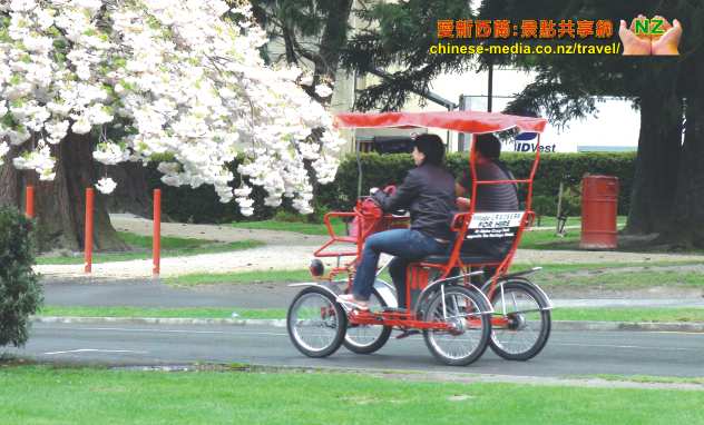 Hanmer Springs Attractions ThrillSeekers Adventures 漢默斯冰林斯冒險玩意中心 蹦極跳