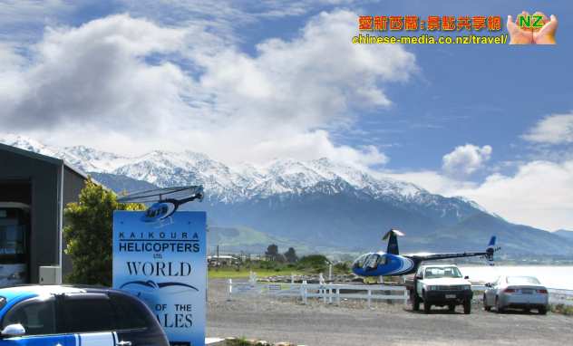 Kaikoura 凱庫拉 Wings Over Whales Helicopters 小飛機飛航直昇機觀鯨