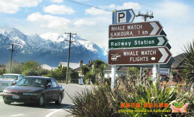 Kaikoura 凱庫拉 Wings Over Whales Helicopters 小飛機飛航直昇機觀鯨
