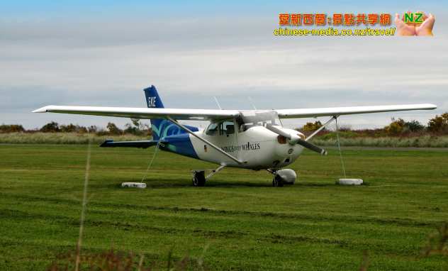 Kaikoura 凱庫拉 Wings Over Whales Helicopters 小飛機飛航直昇機觀鯨