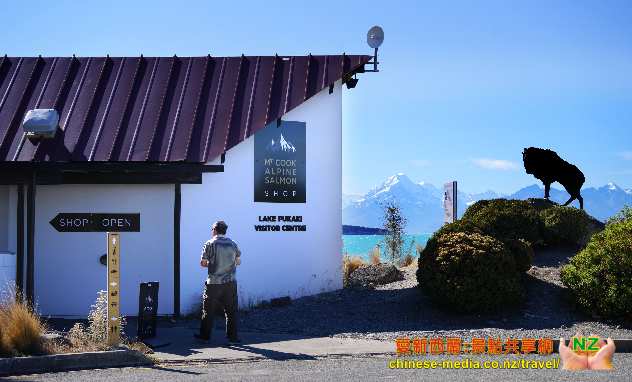 Lake Pukaki 普卡基湖水粉藍 Mt Cook 附近 Tekapo
