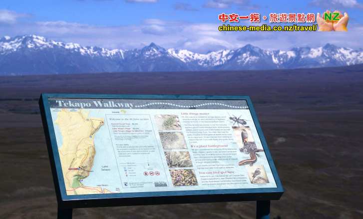 Mt John Observatory 約翰山天文台夜間觀星團 Lake Tekapo 好牧羊人教堂 