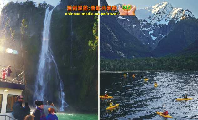 Milford Sound Cruises 米福峽灣的船遊觀光