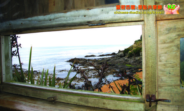 Moeraki Katiki Point Lighthouse Yellow eyed penguins 黃眼企鵝棲息地